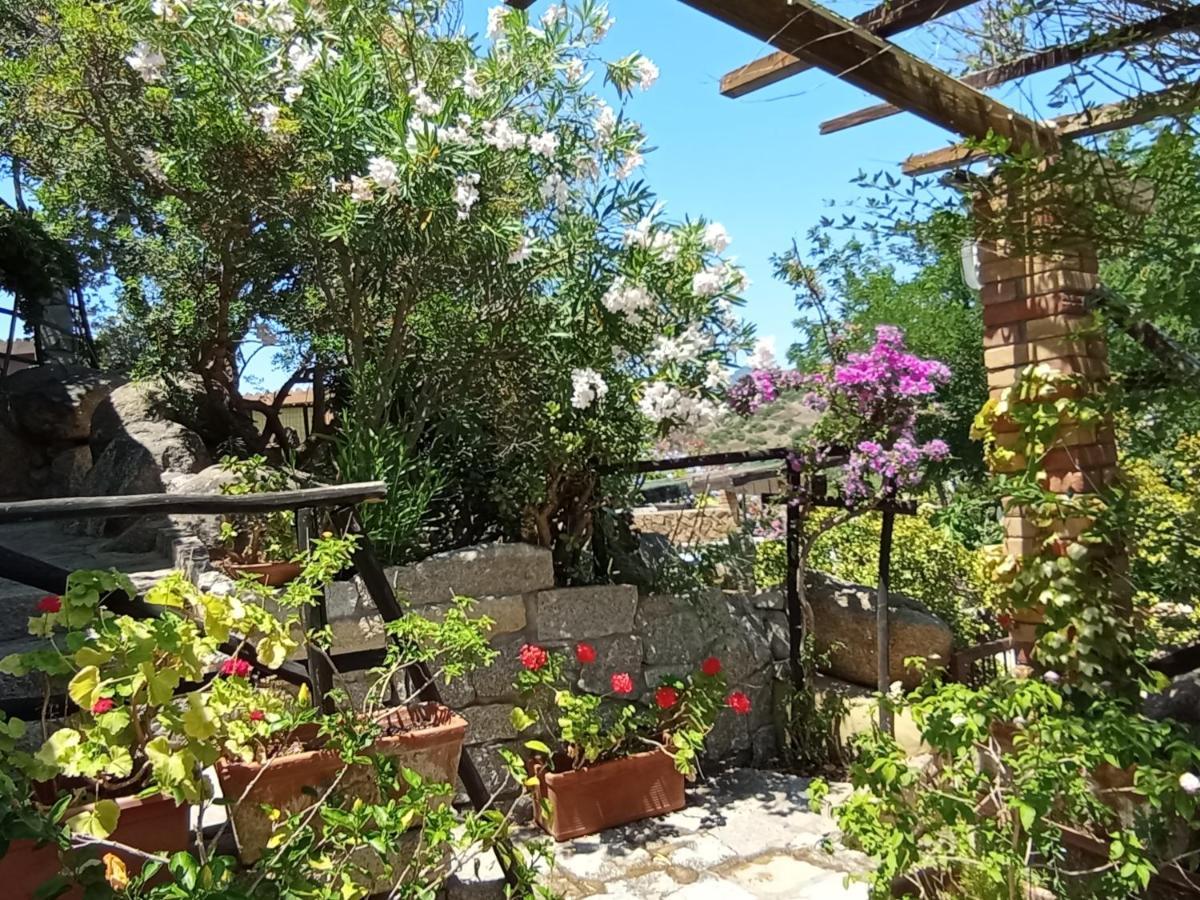 Milena Villasimius, Wifi Gratuito, Ampio Giardino A 300 M Dal Mare Villasimius